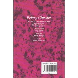 Huckleberry Finn (Bog)