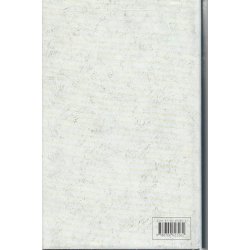 Huckleberry Finn (Bog)