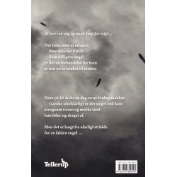 Hush, Hush 1 - Forelsket i en engel (Bog)