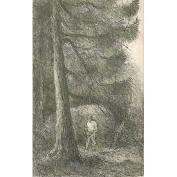 I Kristoffers spor (Bog)