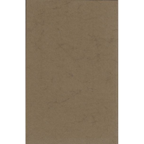 Erindringer om guldhornstyveriet (Bog)