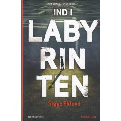 Ind i labyrinten (Bog)