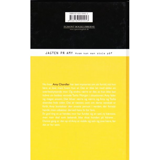 Jagten p� Amy (Bog)