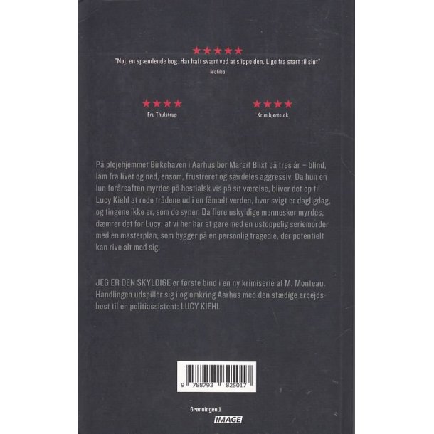 Jeg er den skyldige (Bog)