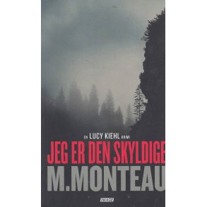 Jeg er den skyldige (Bog)