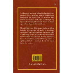 Kampen om Syrakus (Bog)