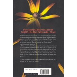 Kvinden i graven (Bog)