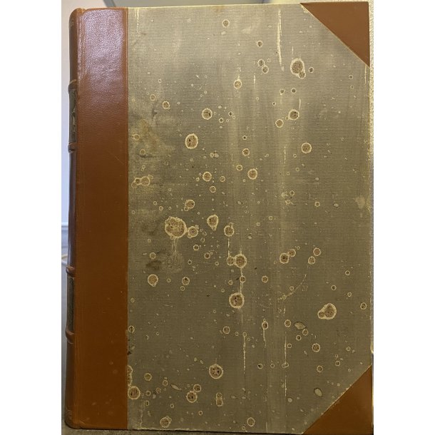 Dyrenes verden - Leddyr (Bog)