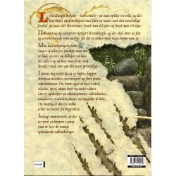 Live rollespil for begyndere (Bog)