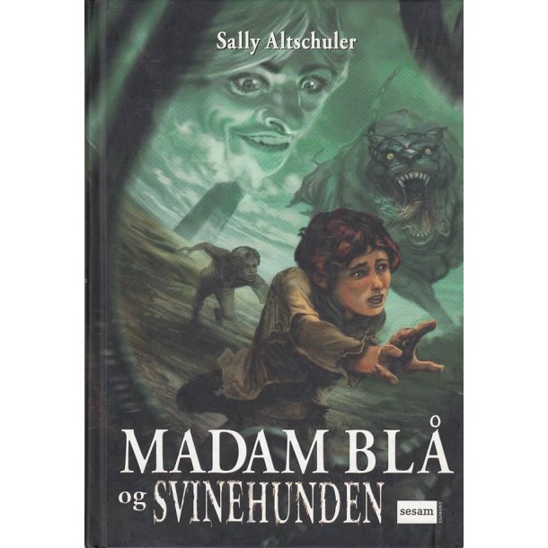 Madam bl� og svinehunden (Bog)