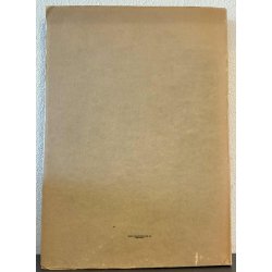 Michelagniolo nye studier af Vilhelm Wanscher (Bog)