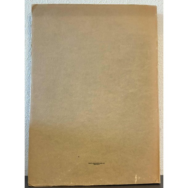 Michelagniolo nye studier af Vilhelm Wanscher (Bog)