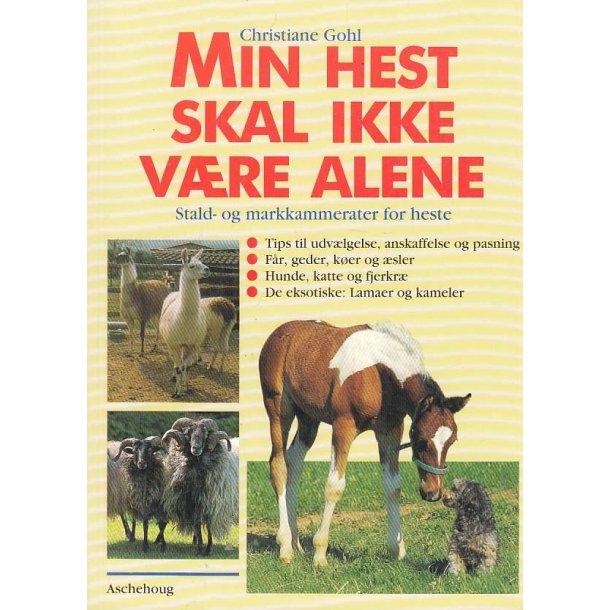 Min hest skal ikke v�re alene (Bog)