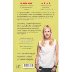 N�r isen brister (Bog)