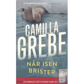N�r isen brister (Bog)
