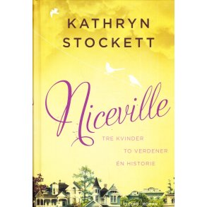 Niceville - Tre kvinder, to verdener, en historie (Bog)