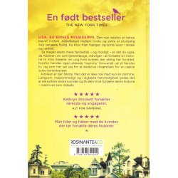 Niceville - Tre kvinder, to verdener, en historie (Bog)