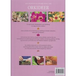 Aschehougs store bog om Orkideer - Den komplette guide (Bog)