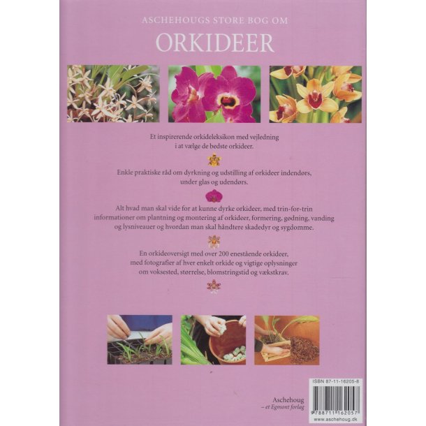 Aschehougs store bog om Orkideer - Den komplette guide (Bog)
