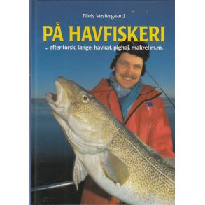 P� havfiskeri (Bog)