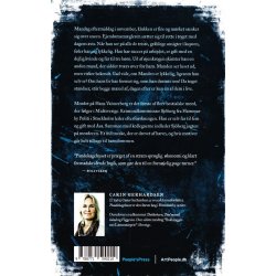 Pandekagehuset (Bog)