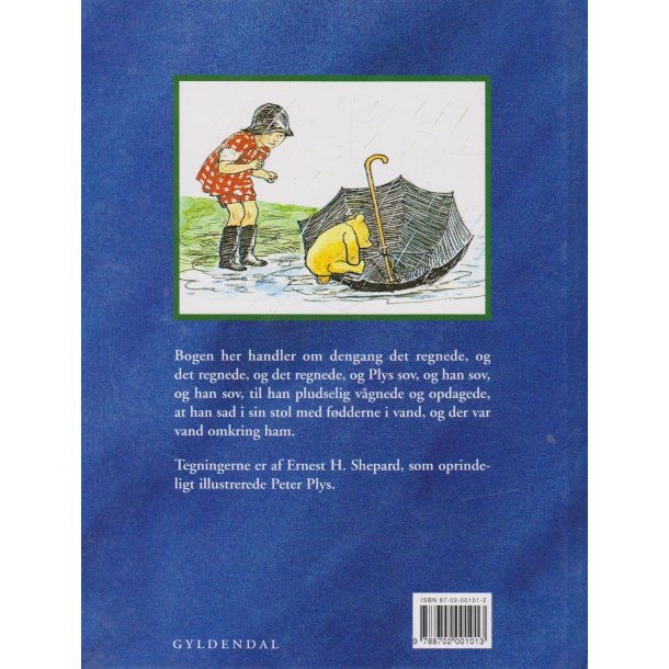 Peter Plys i regn (Bog)