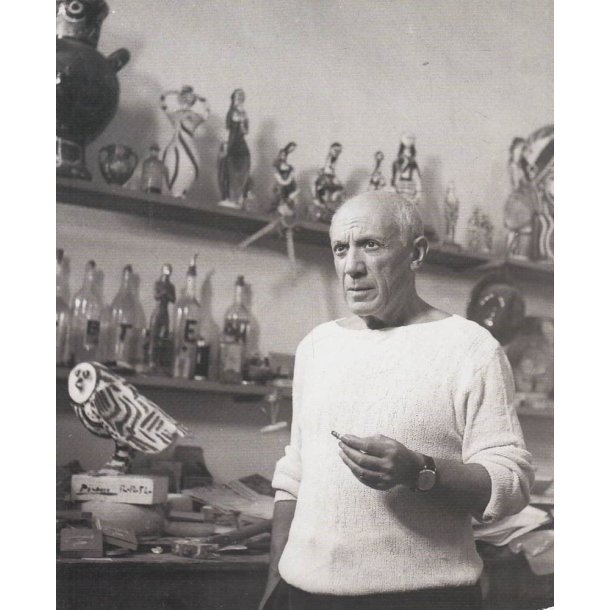 Picasso - Fred & Frihed (Bog)