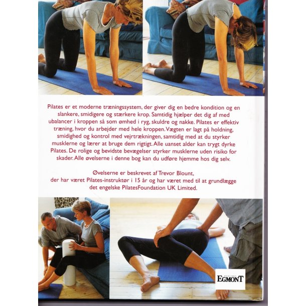 Pilate systemet (Bog)