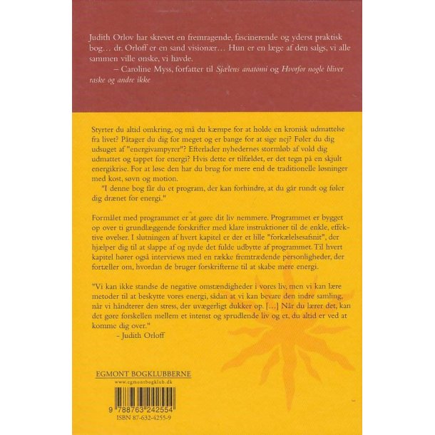 Positiv energi (Bog)