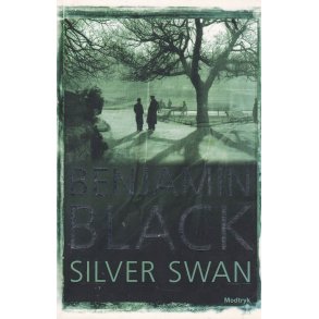 Silver swan (Bog)