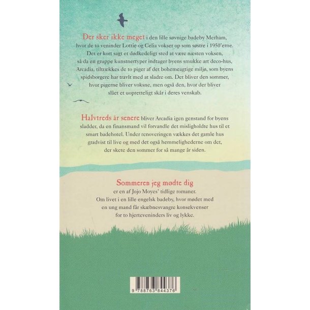 Sommeren jeg m�dte dig (Bog)
