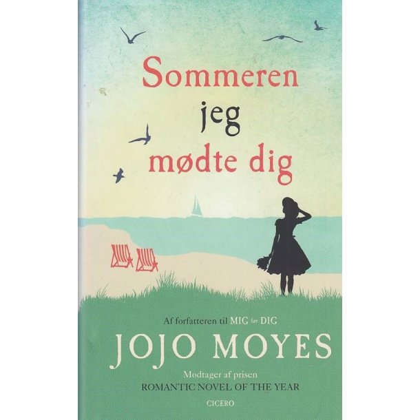 Sommeren jeg m�dte dig (Bog)