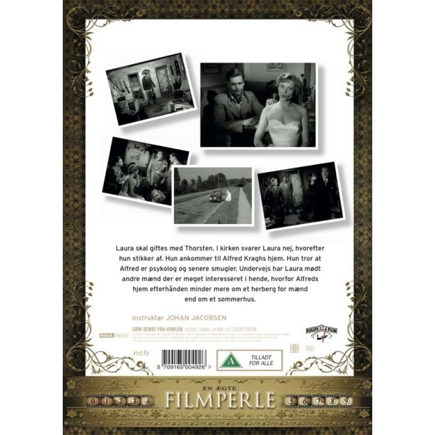 Som sendt fra himlen (DVD)