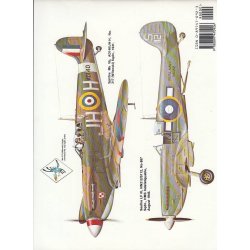 Spitfire in action (Bog)