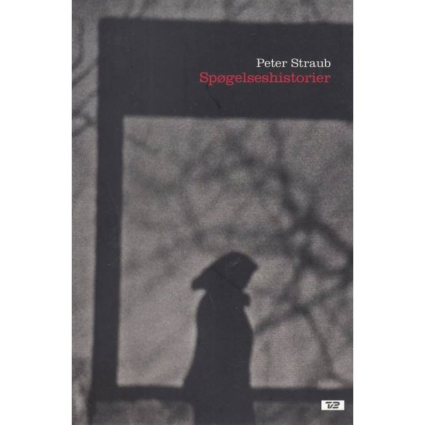 Sp�gelseshistorier (Bog)