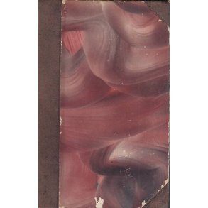 Sporeplanterne (Bog)