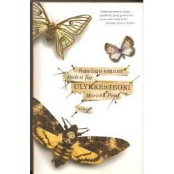 S�rlige emner inden for ulykkesteorien (Bog)