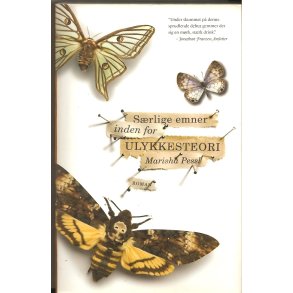 S�rlige emner inden for ulykkesteorien (Bog)