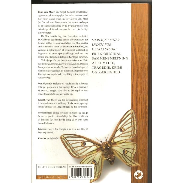 S�rlige emner inden for ulykkesteorien (Bog)