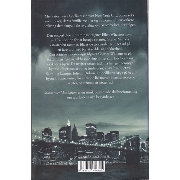 Storm over Manhattan (Bog)