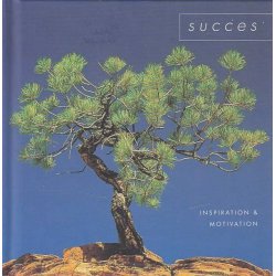 Succes (Bog)