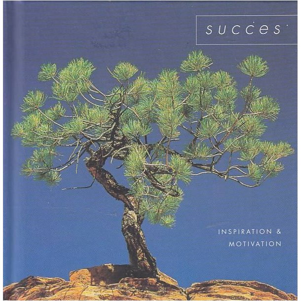 Succes (Bog)