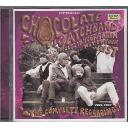 Melts in Your Brain Not on Your Wrist 