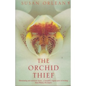 The Orchid thief (Bog)