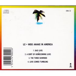 Wide awake in America (CD)