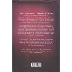 Under jorden i Villette (Bog)