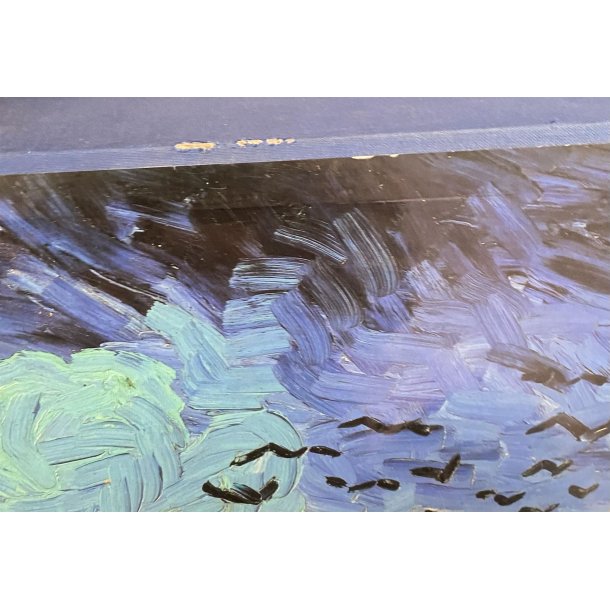 Van Gogh - The Complete Paintings (Bog)