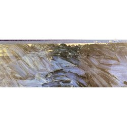 Van Gogh - The Complete Paintings (Bog)