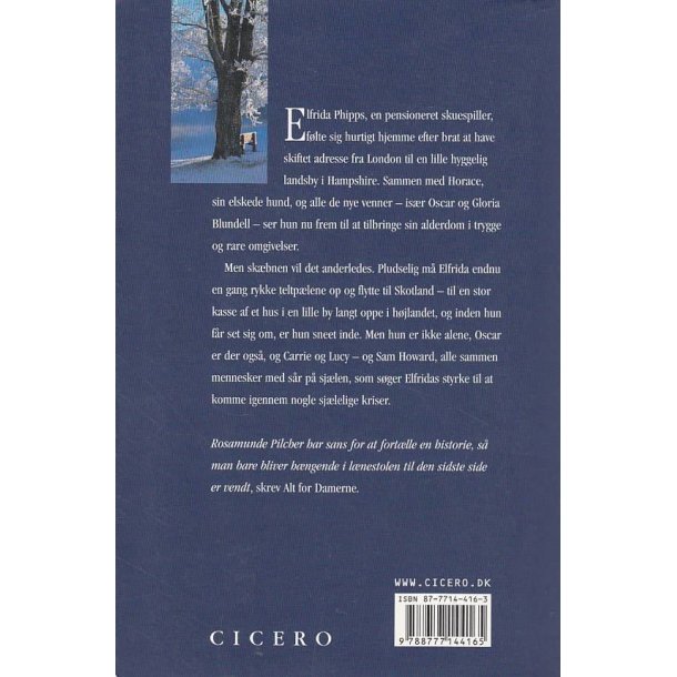 Vintersolhverv (Bog)