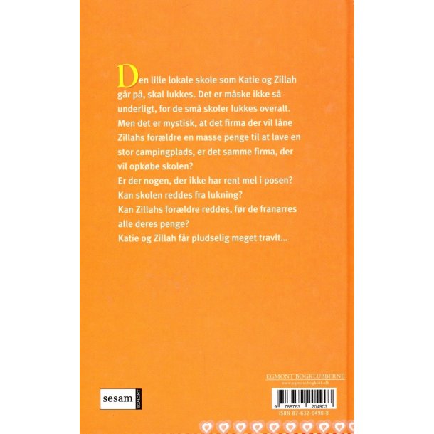 Zillah p� krigsstien (Bog)